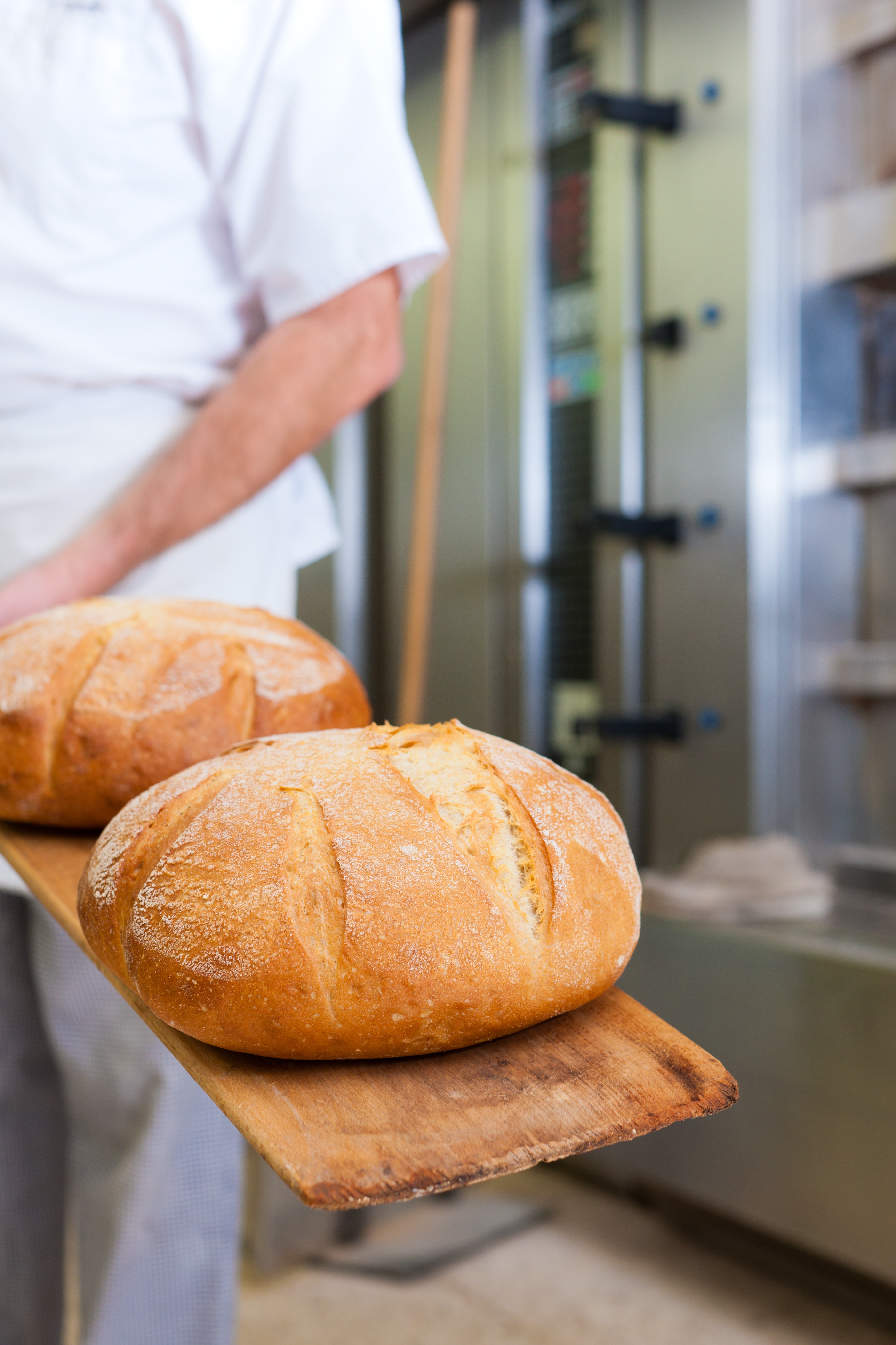 Cos'è l'armadio fermalievitazione? L'alleato per la panificazione!