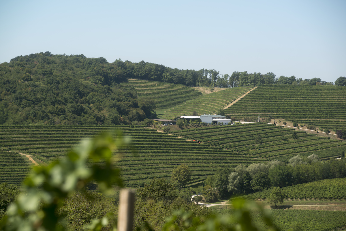 Colli Orientali del Friuli